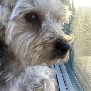 Meet your Posher, Jayci